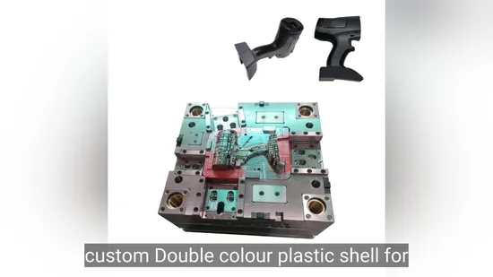 Custom Made Double Colors Plastic Injection Housing Mold 