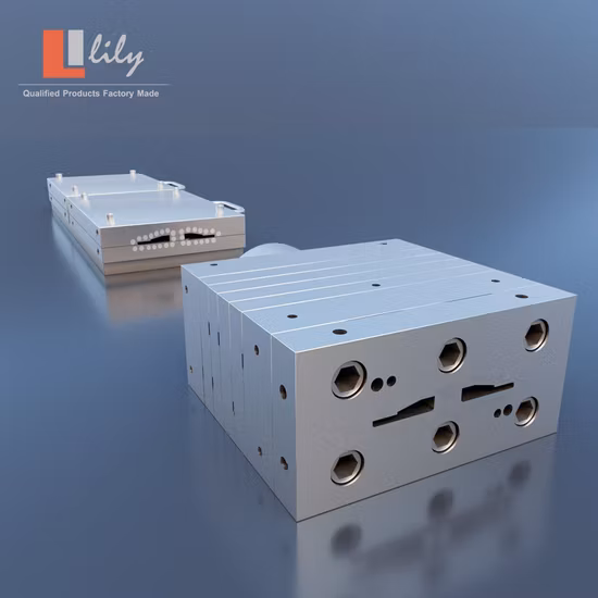 PVC Profile Extrusion Mould for Customization 