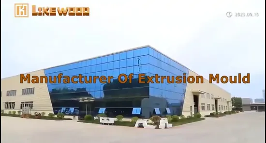 Professional Grade Mould for Precision Foam Profile Extrusion Tasks 